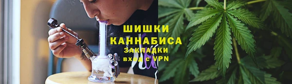индика Верея