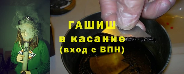 индика Верея