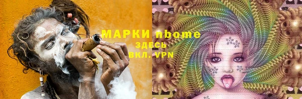 индика Верея
