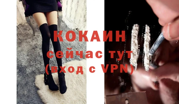 индика Верея