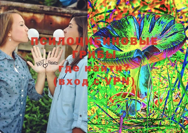 индика Верея