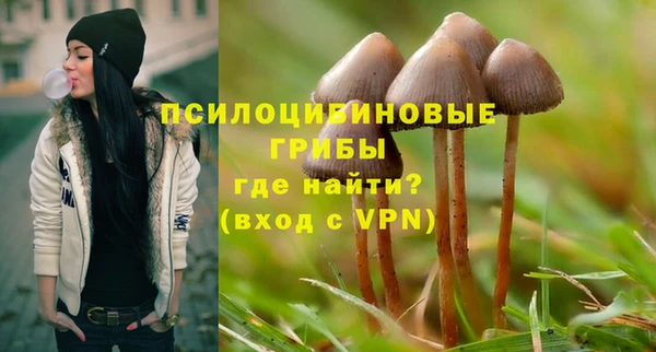 прущие крисы Верхний Тагил