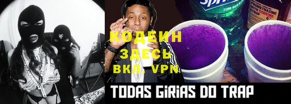 индика Верея