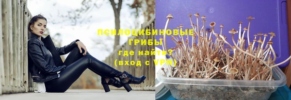 прущие крисы Верхний Тагил